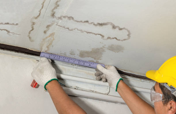Reliable Water Damage Repair contractor in West Columbia, TX by Aqua Guard Water Damage